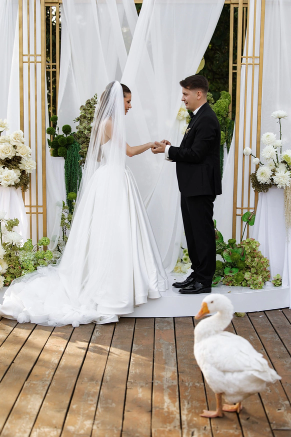 Wedding pie