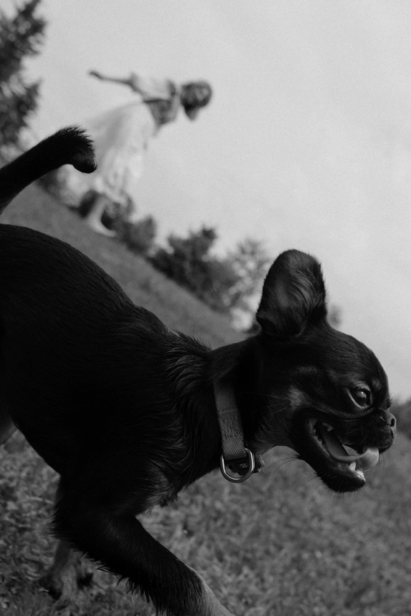 Денис Щербаков