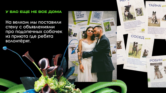 СТУДИЯ ДЕКОРА КОЛИБРИ