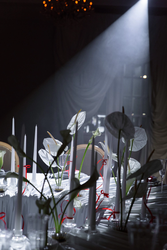 ANDRONOVA WEDDING