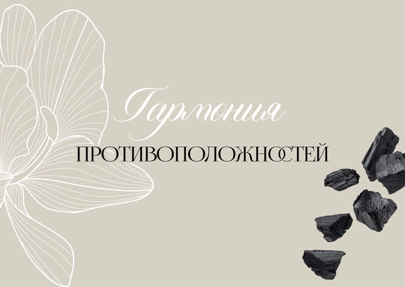 Браво Декор