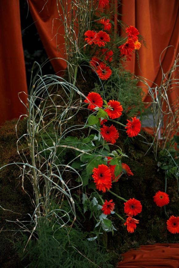 Perlamutr decor