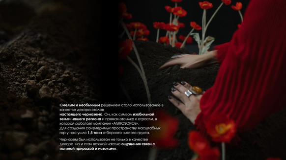 Моё Всё