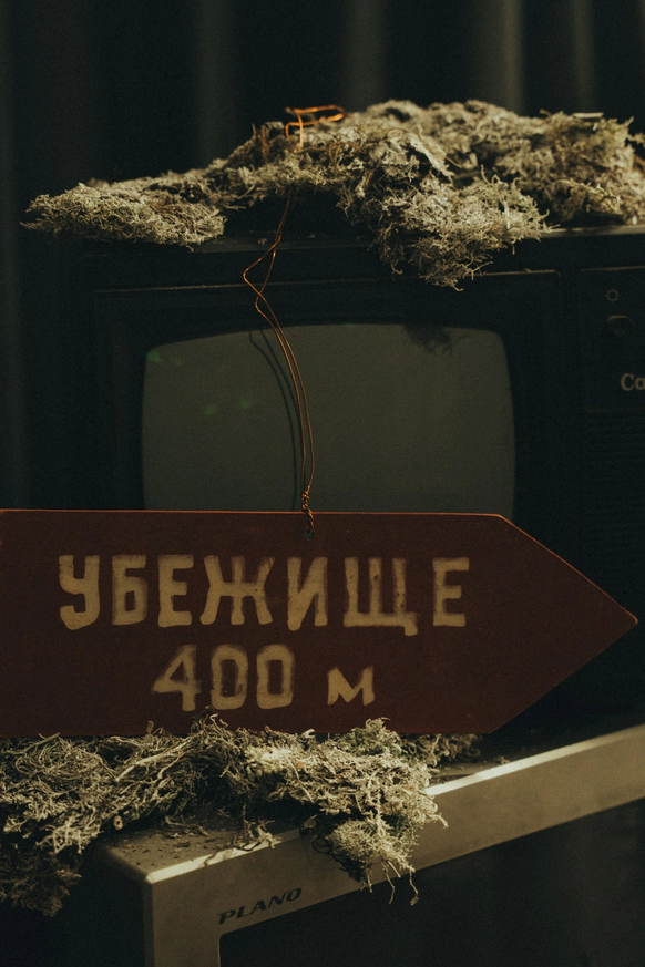 Анастасия Нестерова