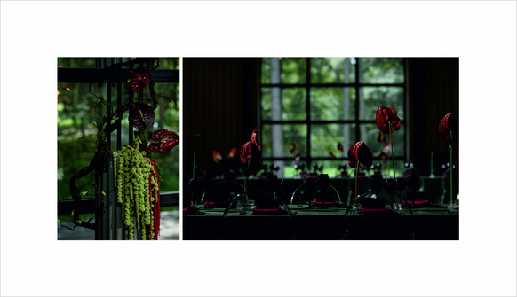 Nikonova Decor
