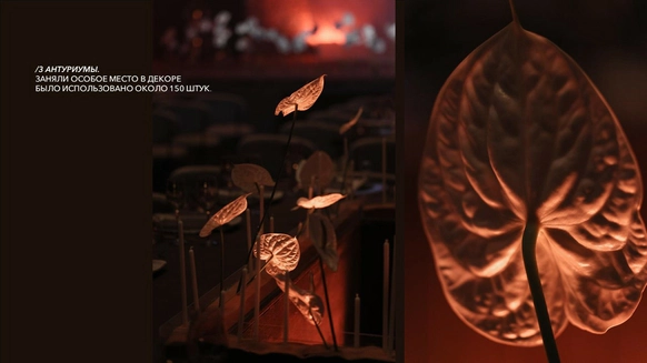 Smorodina decor