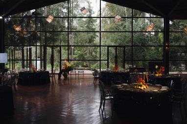 THE BIRCH  BY LOFT HALL