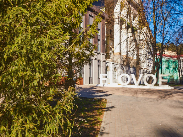Скандинавский парк-отель ELOVOE