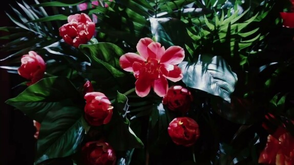 Perlamutr decor — видео