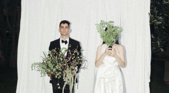 All you need is wed — видео