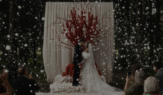 Vesna Wedding — видео