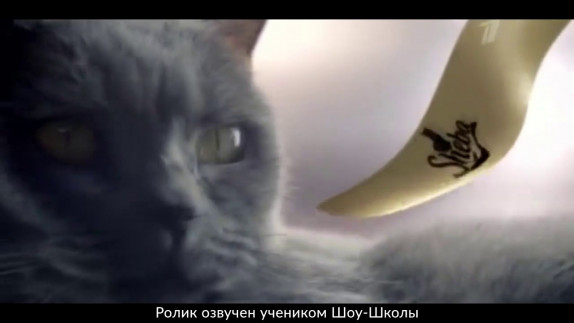 Анастасия Юнисова — видео
