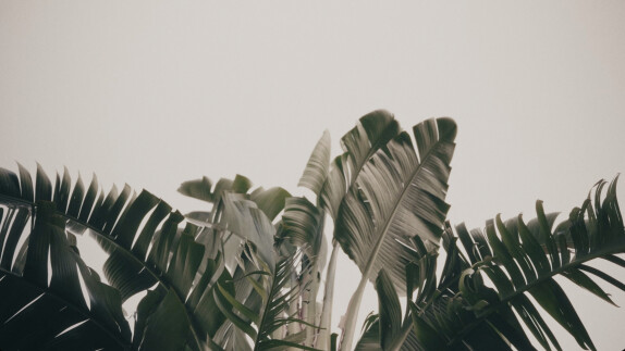 Александр Саламатин — видео