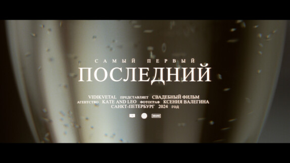 Виталий Веденеев — видео